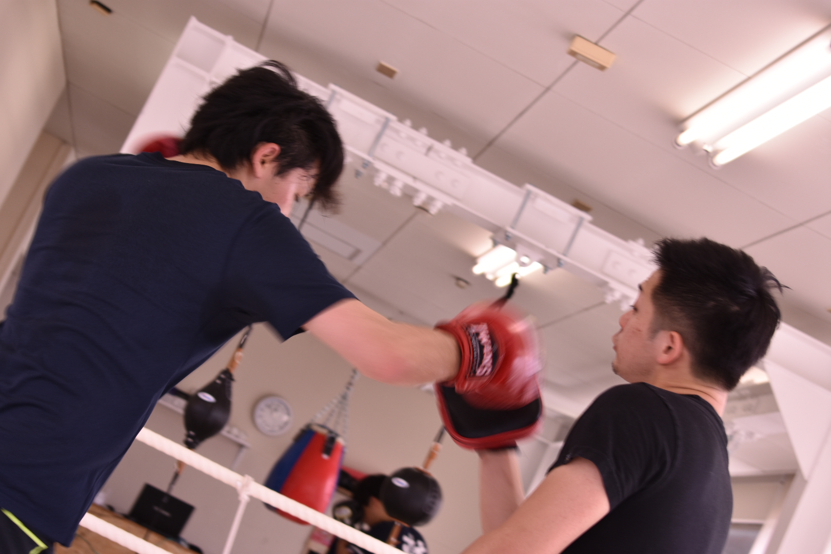 Boxing&Fitness Gun-gym - マッスルパーク[MUSCLE PARK]